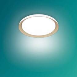 Philips Pebblo UE Ceiling SS W