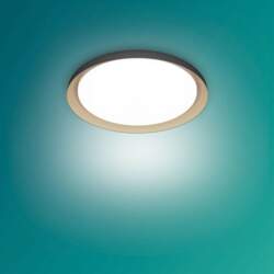 Philips Pebblo UE Ceiling SS B