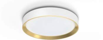 Philips Hanno ceiling SS RD 24W