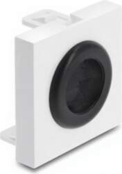 Delock Easy 45 - Click-in Module