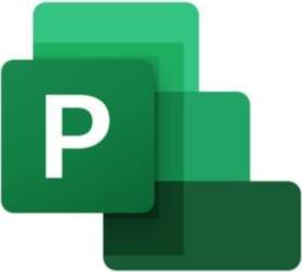 Microsoft Project Professional 2019 Office Applications