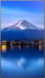 Sharp MultiSync PN-P556 55 Digital Signage