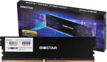 Biostar DDR4 Storming V memory module