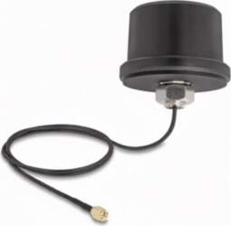 Delock antenna