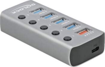 Delock Gray Rack