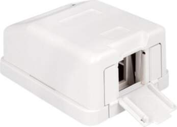 Delock Keystone Surface Mounted Box White