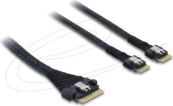 Delock Serial Attached SCSI (SAS) Internal