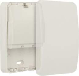 Delock Keystone Surface Mounted Box White