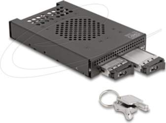 DeLOCK M.2 Storage Mobile Rack