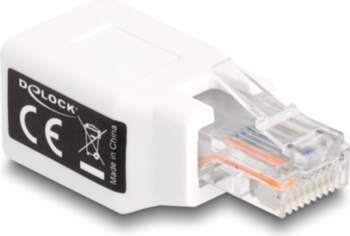 DeLOCK Network Adapter White
