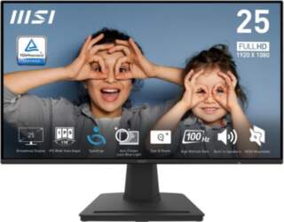 LCD Monitor MSI PRO MP252 24