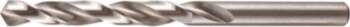 Makita bore bit
