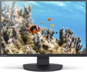 Sharp NEC DD-EA242W 24-inch IPS 1920