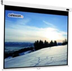 Celexon Professional Manual Screen 120