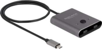 Delock Switch 2 to 1, Gray