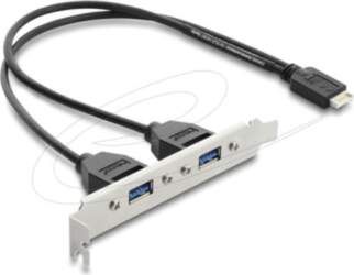 Delock USB 2.0 USB Panel