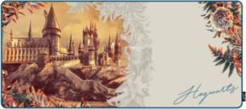 Lexip Warner Bros. Mouse Pad