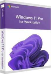 Microsoft Windows 11 Pro for Workstations