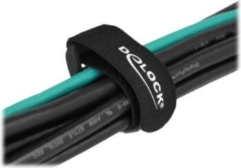 Delock 15cm Cable
