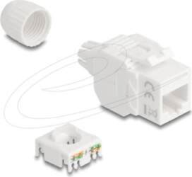 DeLOCK CAT 6a Unshielded Twisted Pair