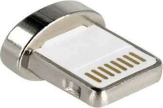 Delock Lightning Adapter Silver