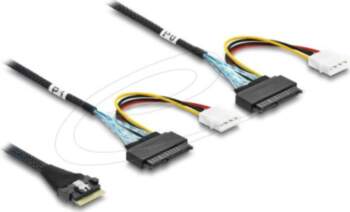Delock Serial Attached SCSI (SAS) Internal