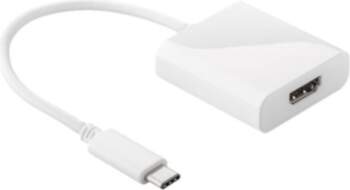 Goobay External Video Adapter
