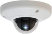 LevelOne FCS-3054 Fixed Iris Network Surveillance