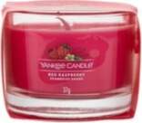 YANKEE CANDLE Red Raspberry 37.0g