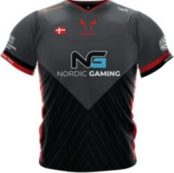 DCS ApS Gaming Jersey Grey DK