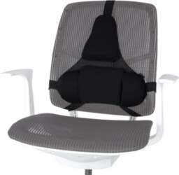 Fellowes Ergonomics professional back support pillow
