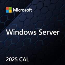 Microsoft Windows Server CAL 2025 Client