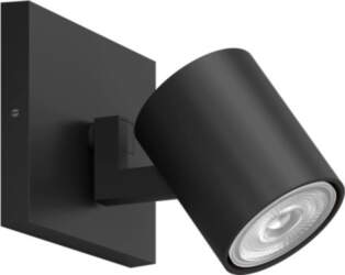 Philips Ceiling/Wall Light