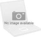 Sennheiser Evolution E 865-S 3mV/Pascal Gray
