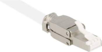 DeLOCK CAT 6a Shielded (STP) Network