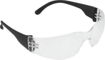 Delock Protective Glasses Polycarbonate