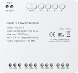 DIY Avatto WSMD-4 250V smart switch