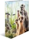HERMA A4 Ring Binder, Meerkat Pattern