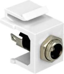 Delock Keystone Module White