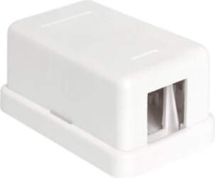 Delock Keystone Surface Mounted Box, White