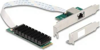 DeLock Network Adapter M.2 2280