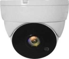 LevelOne ACS-5302 Surveillance Camera