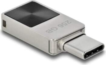 DeLOCK 256GB USB-C Silver Flash Drive