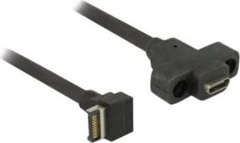 Delock USB Internal to External Cable