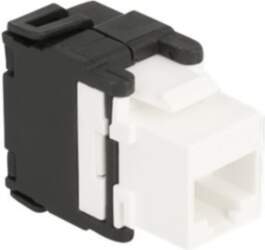 Delock White Sort
