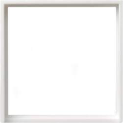 Gira System 55 Frame - Cutout