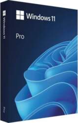 Microsoft Win Pro N FPP 11