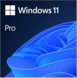 Microsoft Windows 11 Pro - All
