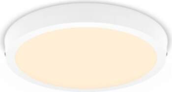 Philips Functional Ceiling Lamp, 20 W