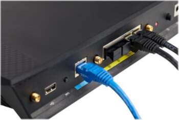 StarTech.com 100 Pack RJ45 Dust